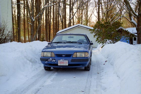 Mustang, Quabbin Reservoir, MA, 2000